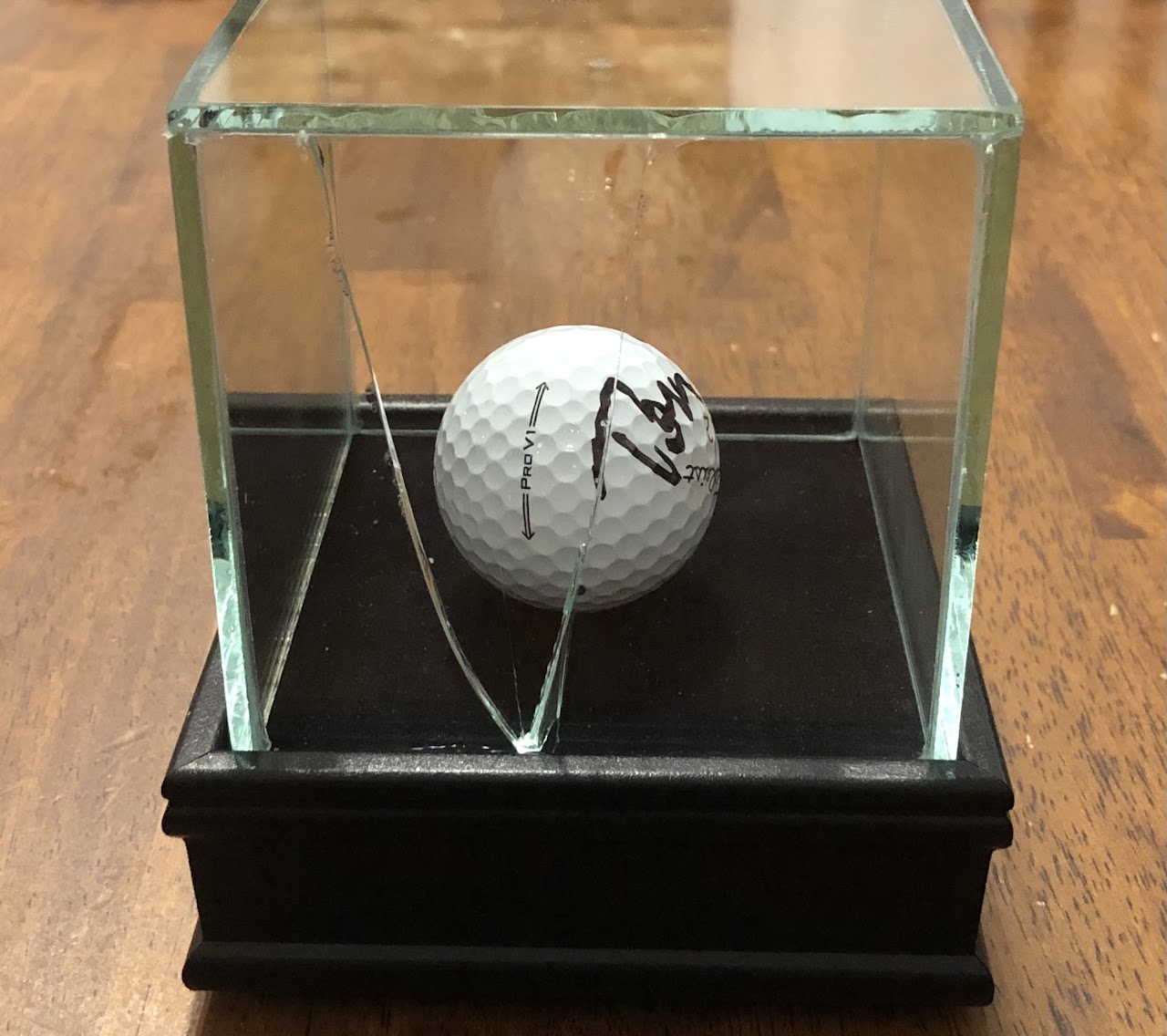 2021 Danza Cup photo 3