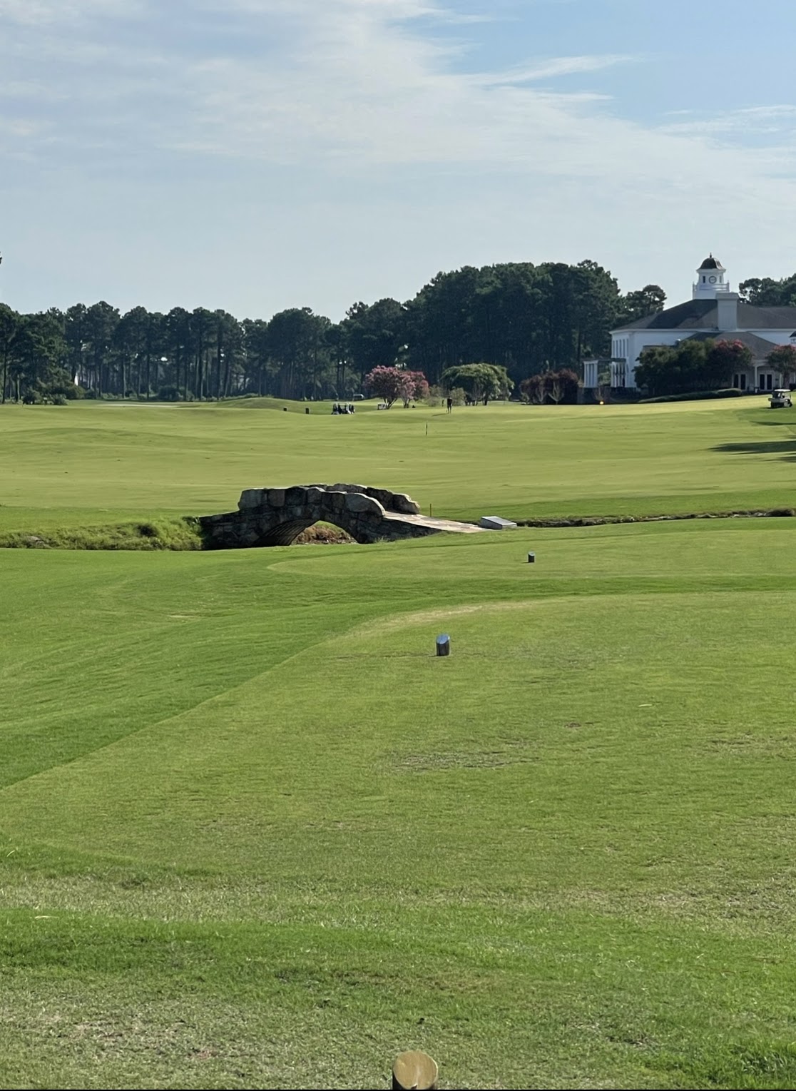 2022 Danza Cup photo 41