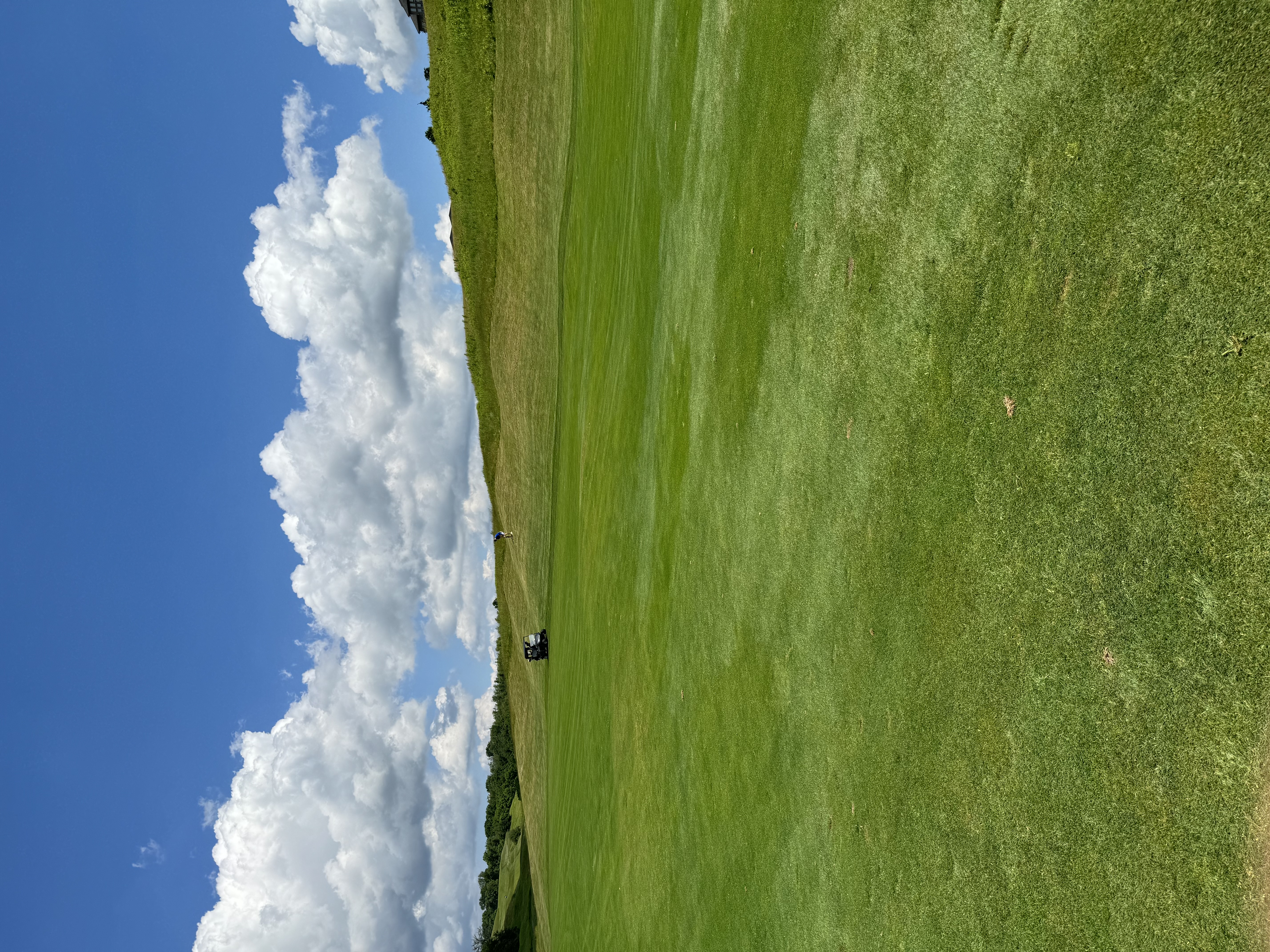 2024 Danza Cup photo 14