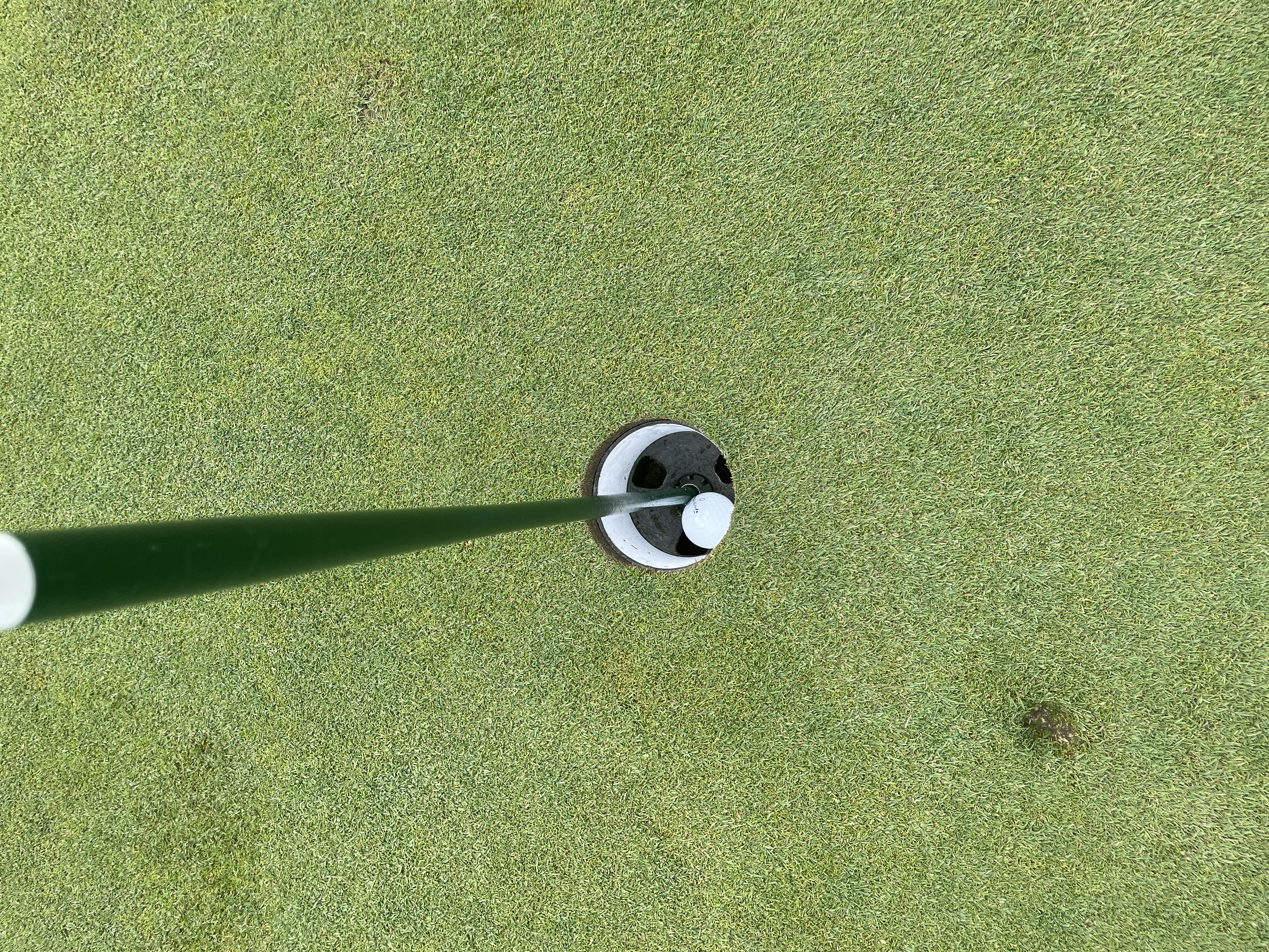 2025 Danza Cup photo 57