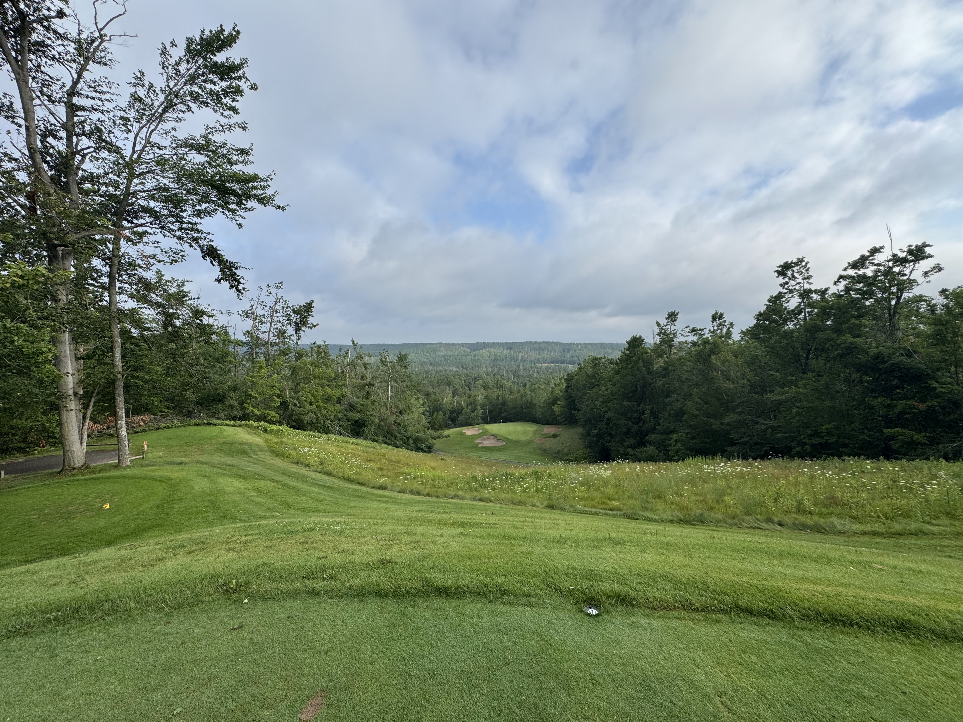 2025 Danza Cup photo 60